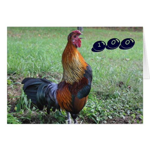 Cartão de aniversário engraçado de exultação do ga