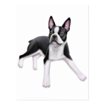 Cartão de Boston Terrier Cartao Postal