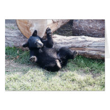 Cartão de Cub de urso preto de Alaska