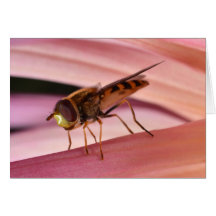 Cartão de Flie da flor
