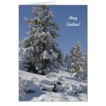 Cartão de Natal da neve de Colorado