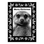 Cartão de Natal de Meerkat