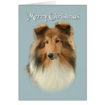 Cartão de Natal de Sheltie
