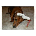 Cartão de Natal do Dachshund - rena relutante