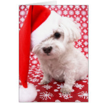 Cartão de Natal do filhote de cachorro