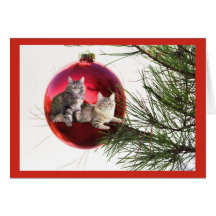 Cartão de Natal do gato