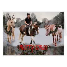 Cartão de Natal fancydress dos cavalos