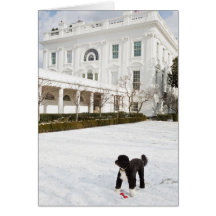 Cartão de nota da BO Obama - jardim de rosas