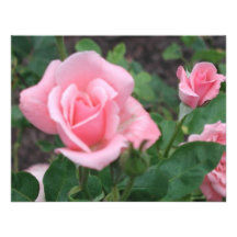 Cartão de nota do vazio do rosa do rosa convites personalizados