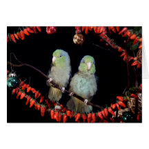 Cartão de ParrotletsHoliday