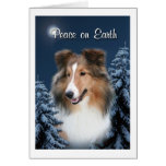 Cartão de Sheltie da paz