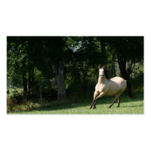 cartão de visita 2 do cavalo do buckskin