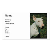 Cartão de visita de bull terrier