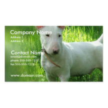 Cartão de visita de bull terrier