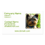 Cartão de visita do cão do yorkshire terrier