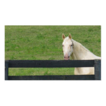 Cartão de visita do cavalo