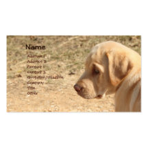 Cartão de visita do filhote de cachorro de Labrado