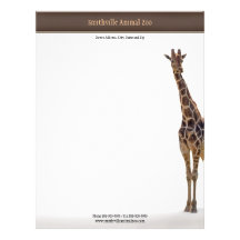 Cartão de visita do jardim zoológico papéis de carta personalizados