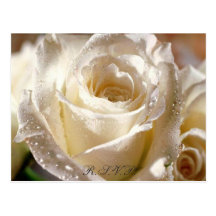 Cartão Dewy do rosa branco R.S.V.P. Cartoes Postais