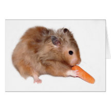 Cartão do almoço da dieta