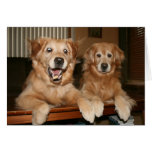 Cartão do aniversário do golden retriever