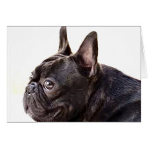 Cartão do buldogue francês