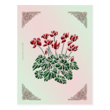 Cartão do Cyclamen Cartao Postal