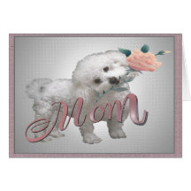 Cartão do dia da mãe de Bichon
