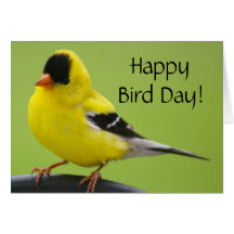 Cartão do dia do pássaro do Goldfinch