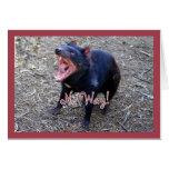 Cartão do feliz aniversario de diabo tasmaniano