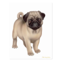 Cartão do filhote de cachorro do Pug Cartões Postais