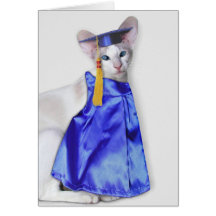 Cartão do gato da graduação