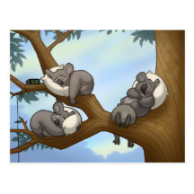 Cartão do Koala do sono Cartao Postal