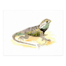 Cartão do lagarto espinhoso do deserto cartao postal