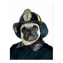 Cartão do Pug do bombeiro Cartões Postais