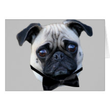 Cartão do Pug do menino