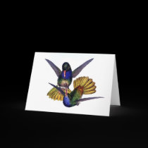 Cartão dos colibris postais