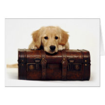 Cartão dourado do filhote de cachorro e da mala de