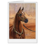 Cartão egípcio do cavalo da princesa Árabe