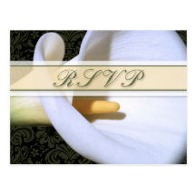 Cartão elegante do lírio de Calla RSVP Cartoes Postais