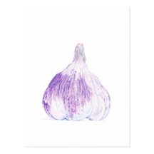 Cartão roxo do alho cartões postais