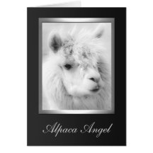 Cartões da alpaca