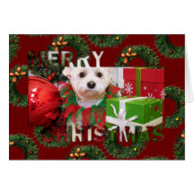 Cartões de fotos do Natal de Schnoodle