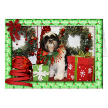 Cartões de fotos do Natal de Shih Tzu