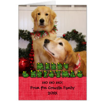 Cartões de fotos do Natal dos Retrievers dourados