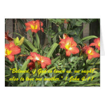 Cartões de nota do hemerocallis
