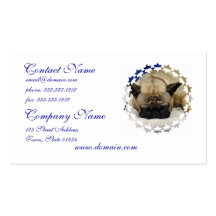 Cartões de visitas bonitos do buldogue francês