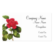 Cartões de visitas de Camelia