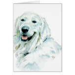 Cartões ingleses do golden retriever