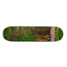 Casa de madeira minúscula com cogumelos skate
